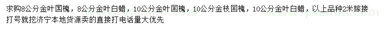 求购金叶国槐、金叶白蜡、金枝囯槐