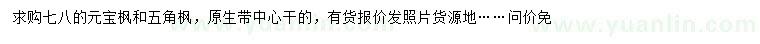 求购7、8公分元宝枫、五角枫