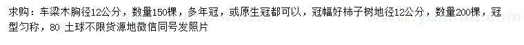 求购胸径12公分车梁木、地径12公分柿子树