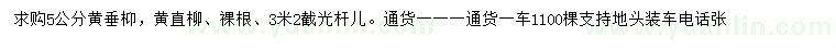 求购5公分黄垂枊、黄直柳