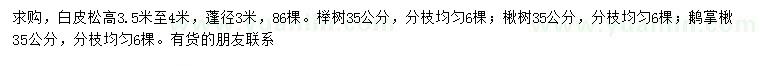 求购白皮松、榉树、楸树等