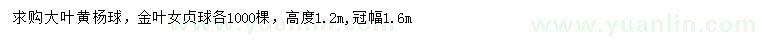 求购冠幅1.6米大叶黄杨球、金叶女贞球