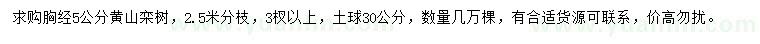 求购胸径5公分黄山栾树