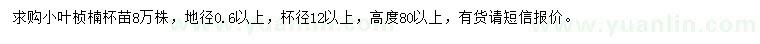 求购高80公分以上小叶桢楠