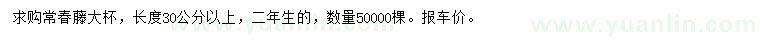 求购长30公分以上常春藤