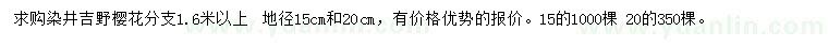 求购地径15、20公分染井吉野樱