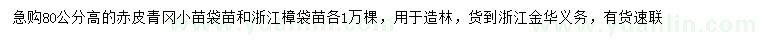 求购高80公分赤皮青冈小苗、浙江樟