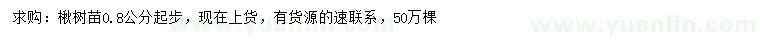 求购0.8公分起步楸树