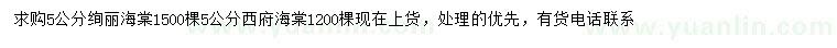 求购5公分绚丽海棠、西府海棠