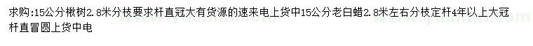 求购15公分楸树、老白蜡