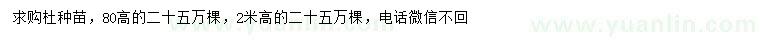 求购高80公分、2米杜仲