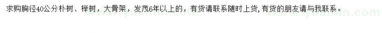 求购胸径40公分朴树、榉树