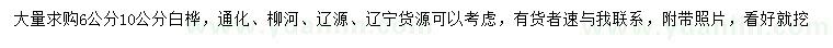 求购6、10公分白桦