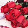 卡罗拉红玫瑰鲜切花家居插花