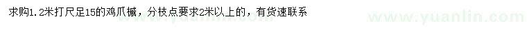 求购1.2米量15公分鸡爪槭