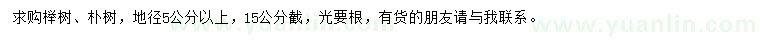 求购地径5公分以上榉树、朴树