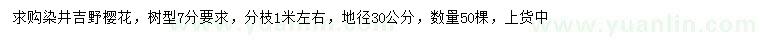 求购地径30公分染井吉野