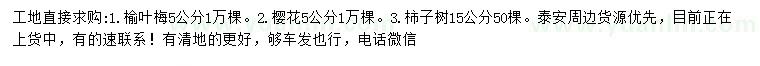 求购榆叶梅、樱花、柿子树