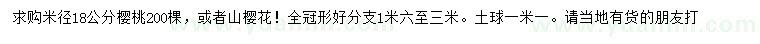 求购米径18公分樱桃或山樱花