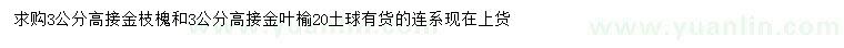 求购3公分高接金枝槐、高接金叶榆