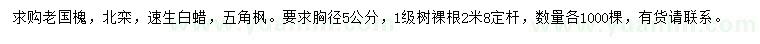 求购国槐、北栾、速生白蜡等