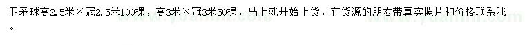 求购冠幅2.5、3米卫矛球