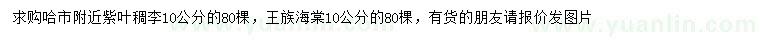 求购10公分紫叶稠李、王族海棠