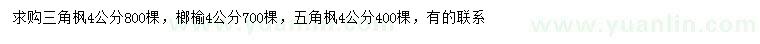 求购4公分三角枫、榔榆、五角枫