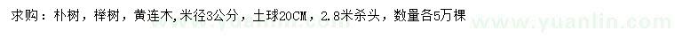 求购米径3公分朴树、榉树、黄连木