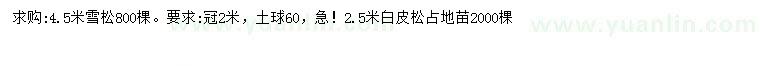 求购4.5米雪松、2.5米白皮松