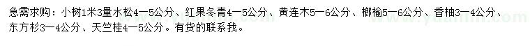 求购水松、红果冬青、黄连木等