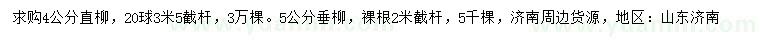 求购4公分直柳、5公分垂柳