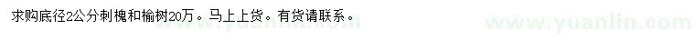 求购地径2公分刺槐、榆树