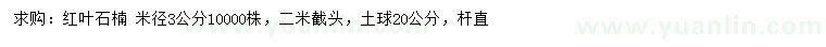 求购米径3公分红叶石楠