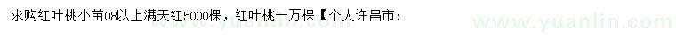 求购红叶桃小苗、满天红