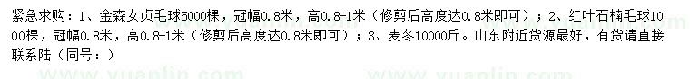 求购金森女贞毛球、红叶石楠毛球、麦冬