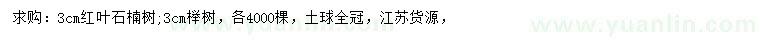 求购3公分红叶石楠、榉树