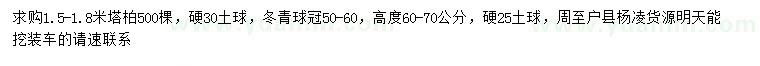 求购1.5-1.8米塔柏、冠50-60公分冬青球