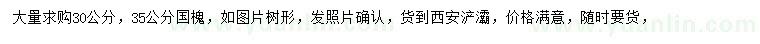 求购30、35公分国槐