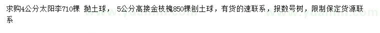 求购4公分太阳李、5公分高接金枝槐