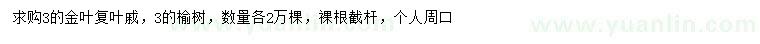 求购3公分金叶复叶槭、榆树