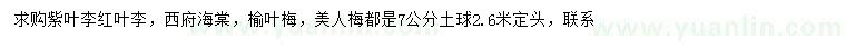 求购紫叶李、红叶李、西府海棠等