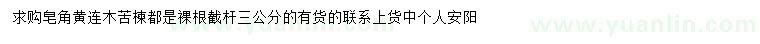 求购皂角、黄连木、苦楝都