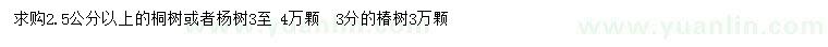 求购2.5公分以上桐树或杨树、3公分椿树