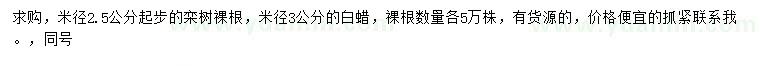 求购米径2.5公分起步栾树、米径3公分白蜡