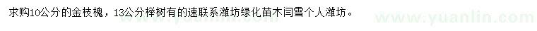 求购10公分金枝槐、13公分榉树