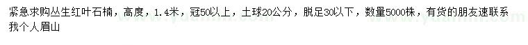 求购高1.4米丛生红叶石楠