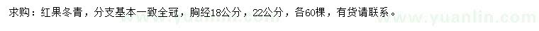 求购胸径18、22公分红果冬青