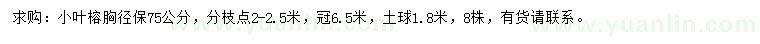 求购胸径75公分小叶榕