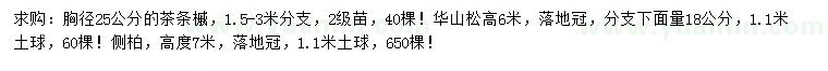 求购茶条槭、华山松、侧柏